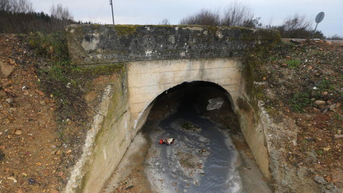Imagen del vertido registrado en la zona del Bayo.