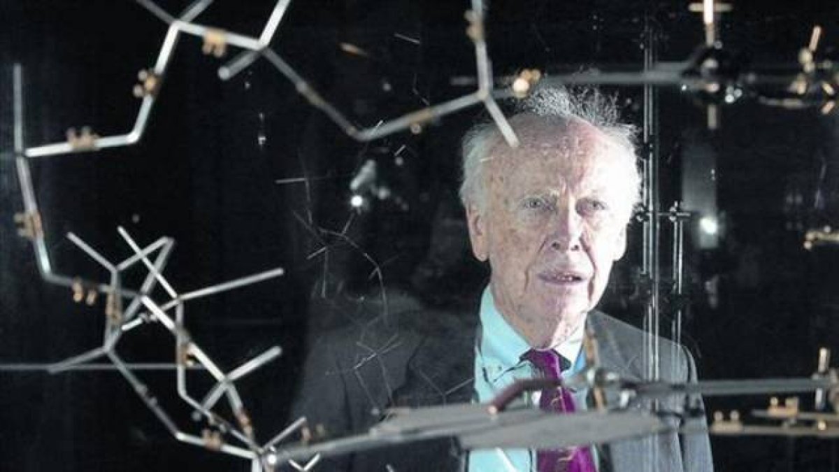 James Watson 8 El investigador estadounidense, en una foto del año 2007.