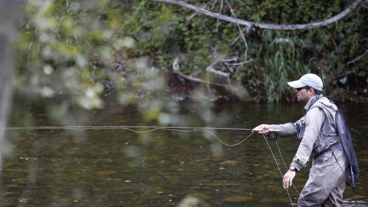 Un pescador en una jornada de actividad en uno de los ríos de la provincia leonesa. FERNANDO OTERO
