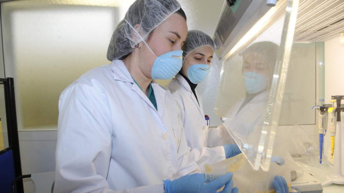 Agrovet no sólo ha diseñado el proyecto de línea de frío para Procole, sino que recibe diariamente muestras de los alimentos que se sirven en los colegios.