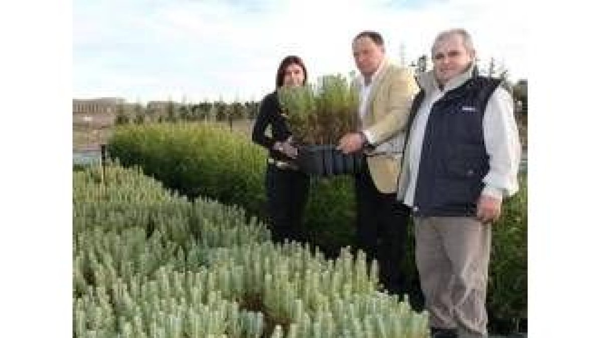 Mustocea, Aldonza y Rueda, con algunos de los árboles que se plantarán en Valencia