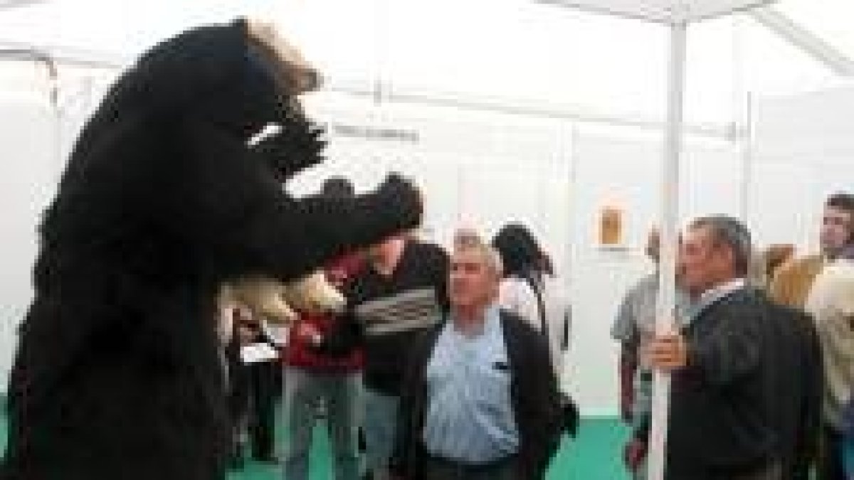 Los animales naturalizados de Valdehuesa atrajeron al público
