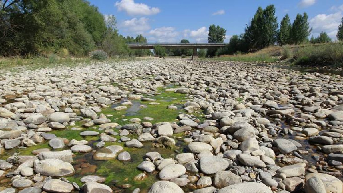 El río Torío a su paso por Villanueva de las Manzanas presenta un penoso estado.