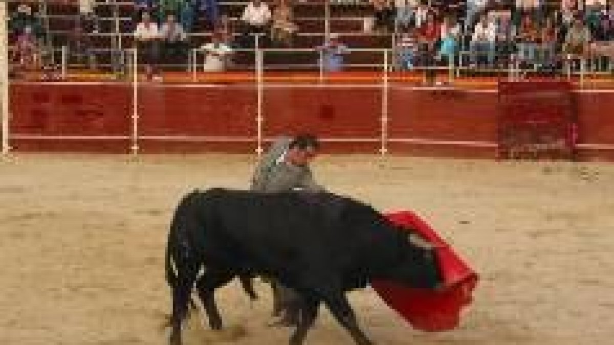 CAMPOS