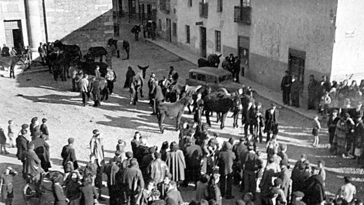 Fotografía del año 1942 en la que se ve la exposición y venta de burros en la plaza Mayor. E. BALLESTEROS
