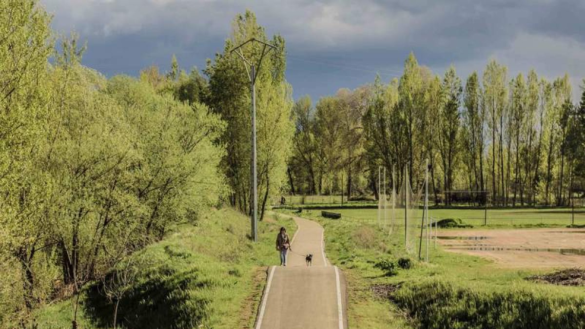 Los tramos de carril bici en Villaquilambre suman dieciséis kilómetros. El de mayor vegetación, que une Villaobispo con Villanueva del Árbol, es casi un paseo fluvial, al discurrir junto al río Torío, y representa una auténtica experiencia para los sentid