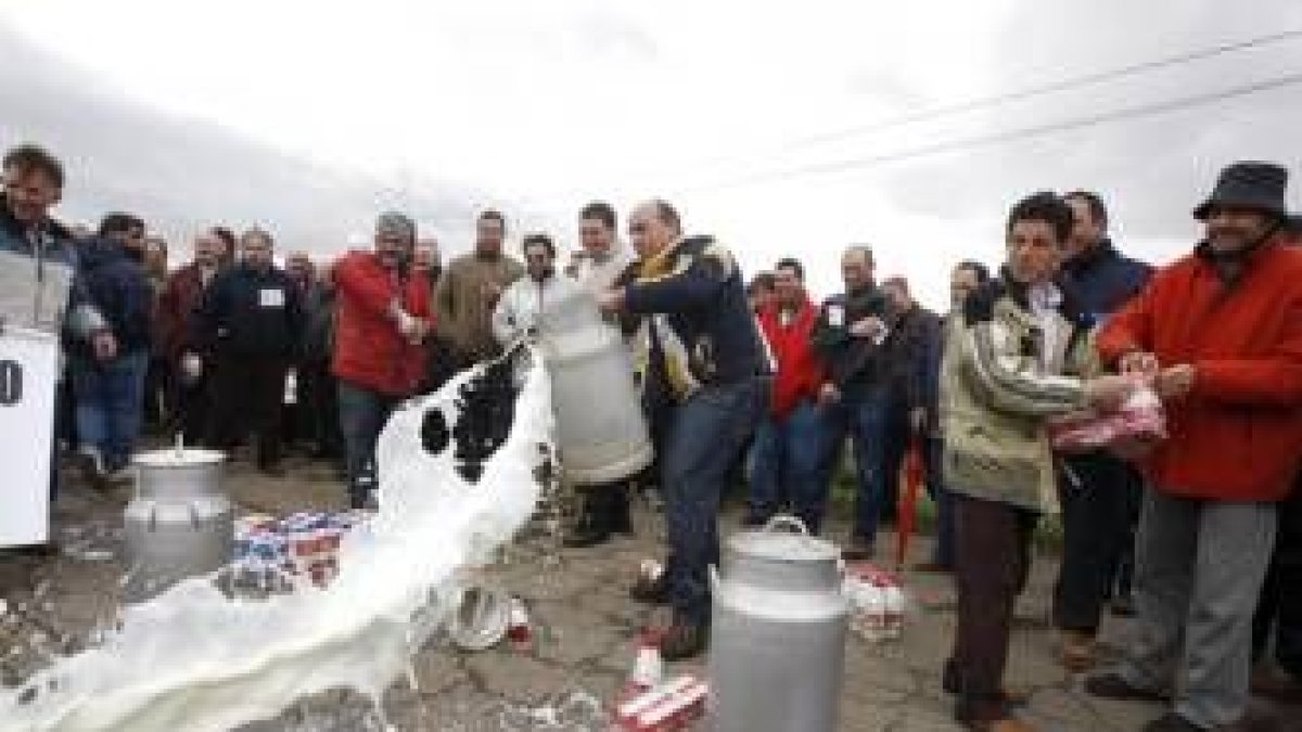 Ganaderos leoneses arrojan leche en una protesta reciente por la crisis del sector lácteo