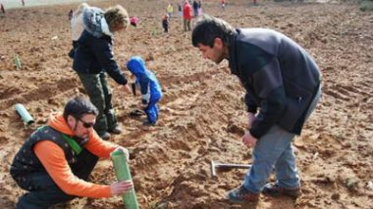 Los voluntarios plantaron árboles para celebrar el Día del Medio Ambiente.