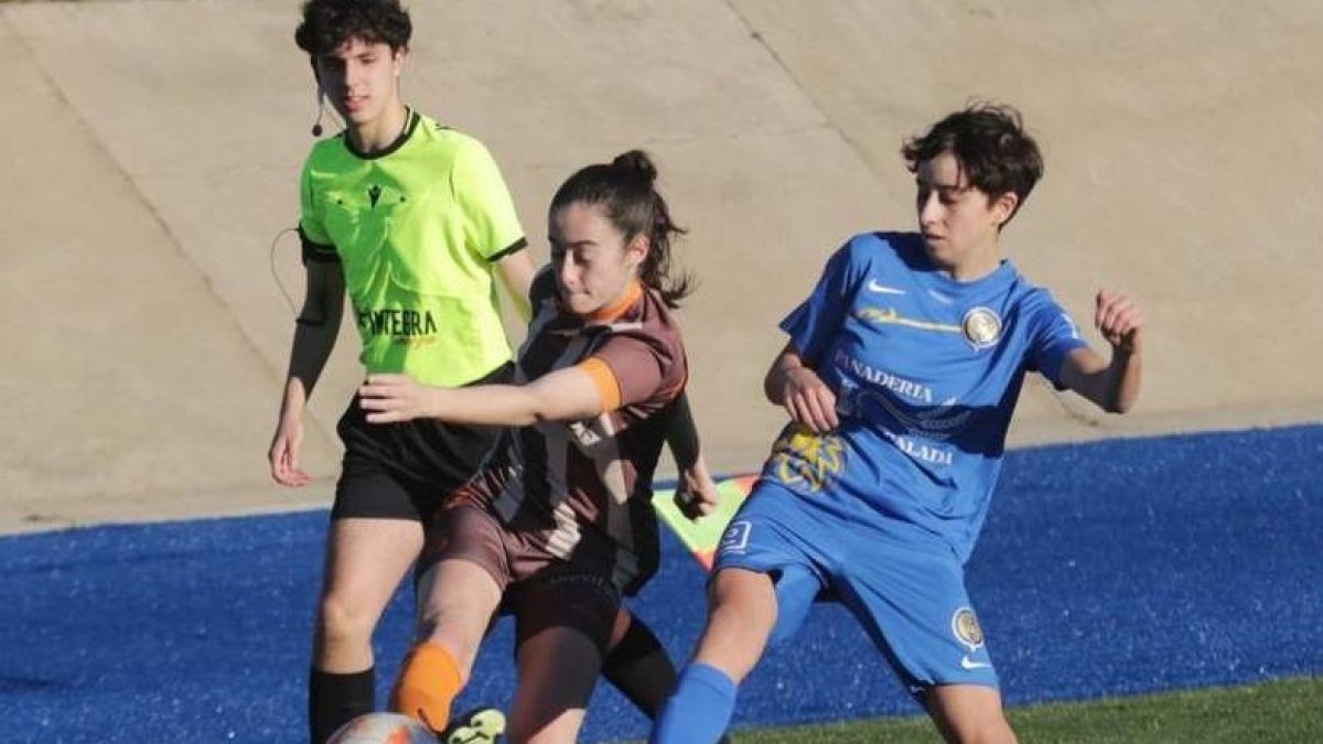 El Olímpico de León no pudo contrarrestar la mayor pegada del Real Avilés. FERMÍN GRANDA