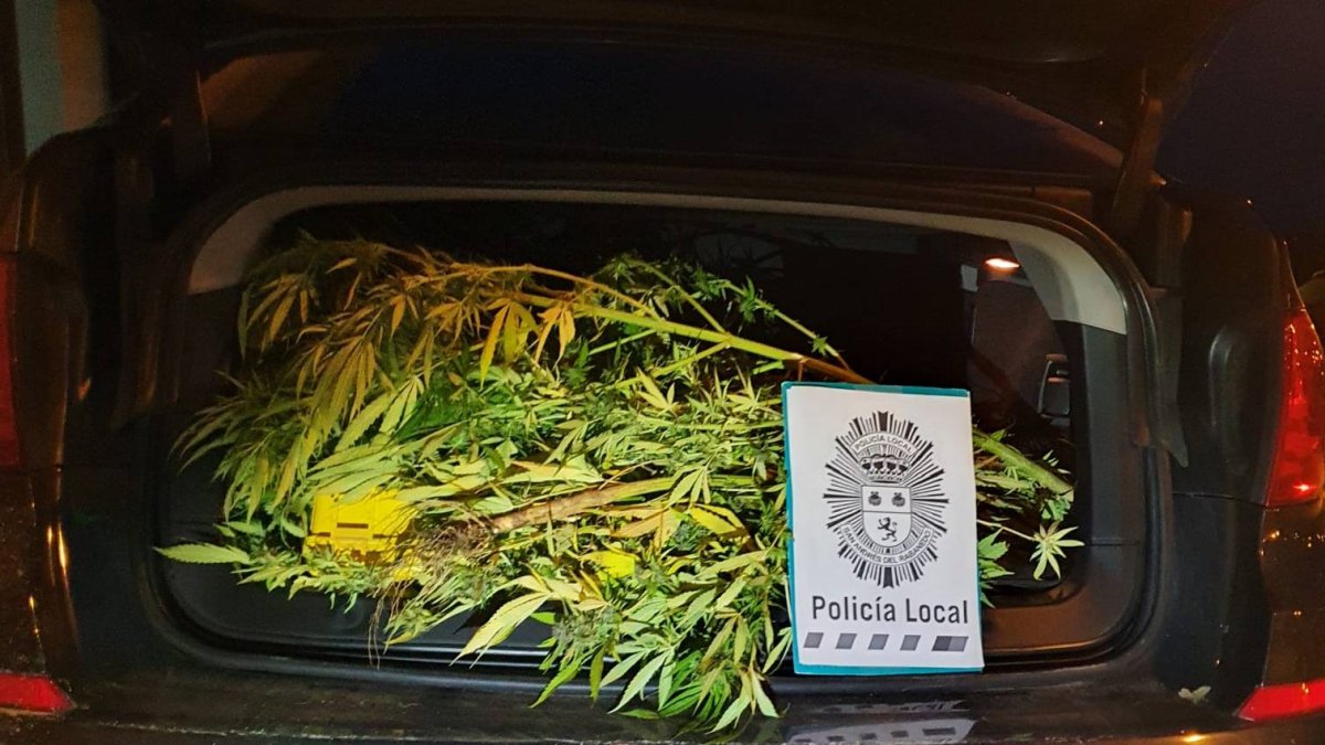 Material incautado en una de las operaciones de la Policía Local en San Andrés. DL