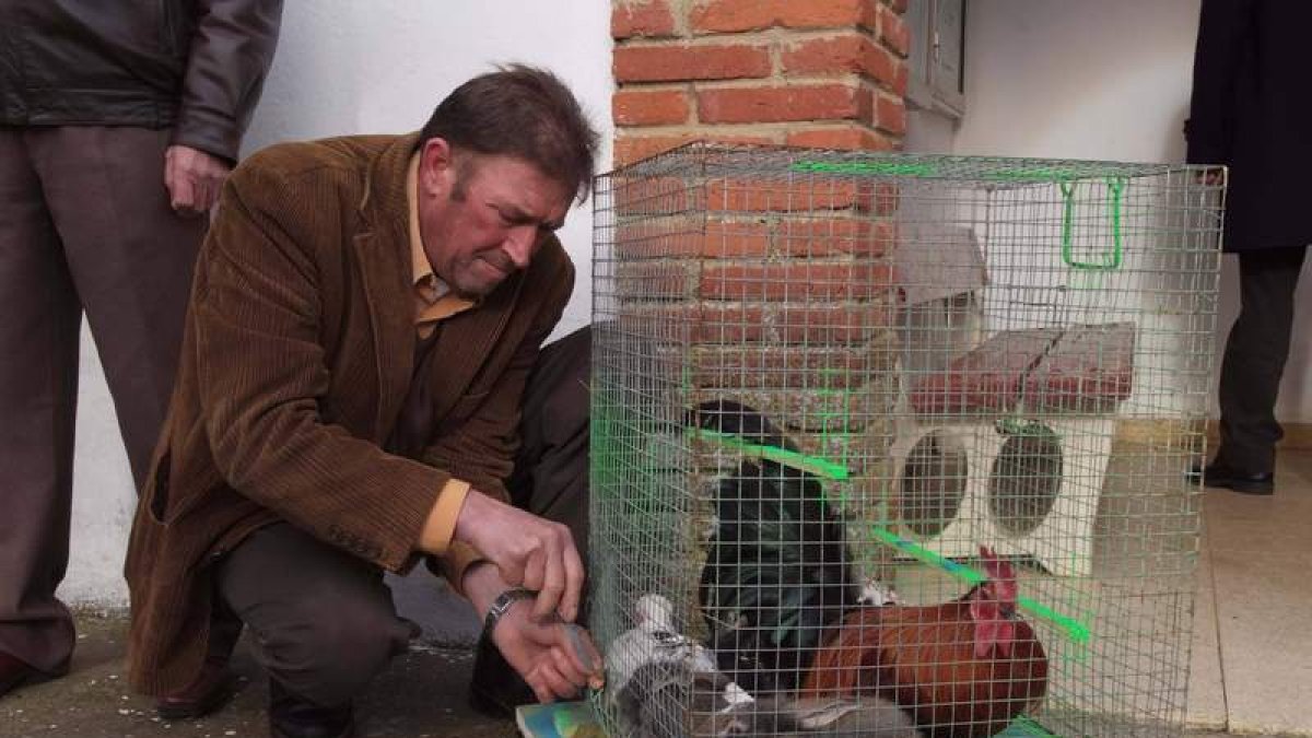 Un jaulón sirvió para trasladar a los pocos animales que se bendijeron en Las Grañeras.
