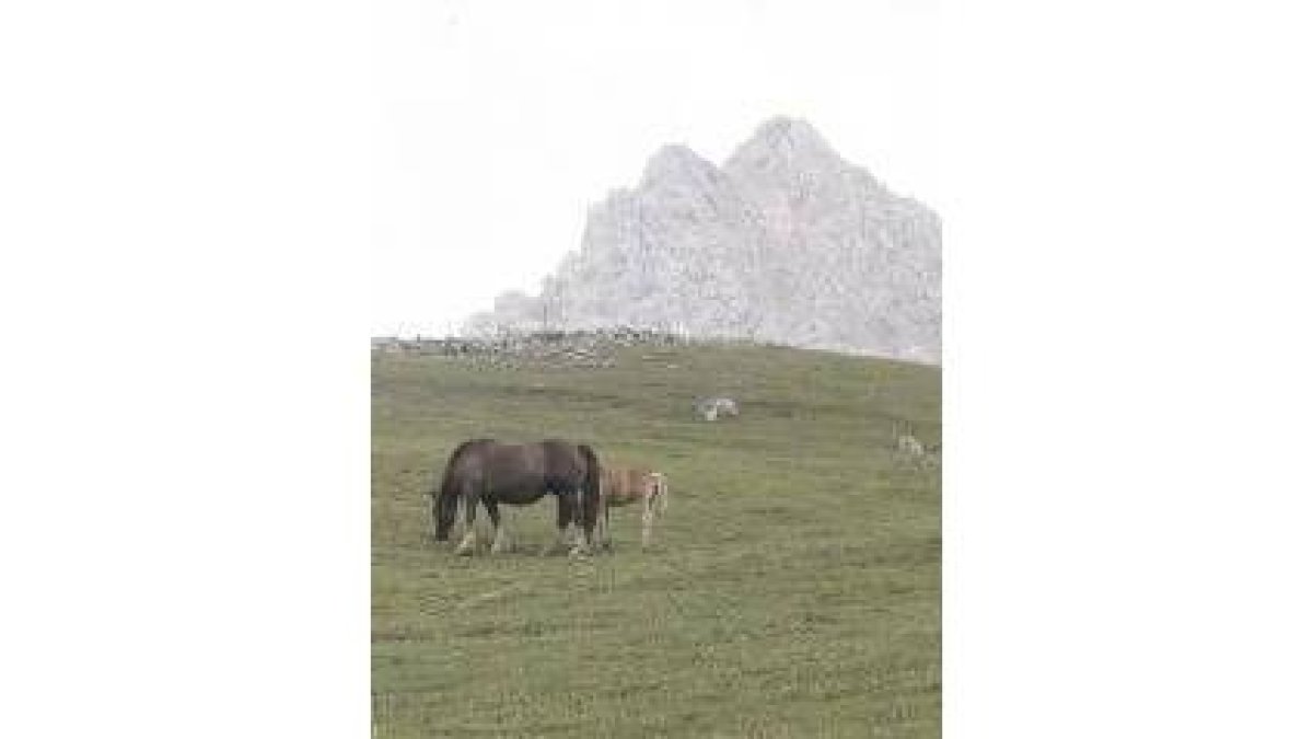 Babia dió un paso este fin de semana para recuperar Pinos