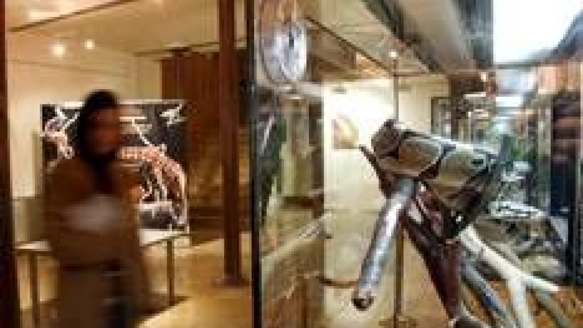El palacio de Botines acoge la exposición «Continentes Vivos»