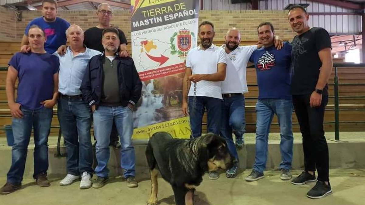 Miembros de la Asociación de Criadores de Mastines Lacianiegos. ARAUJO