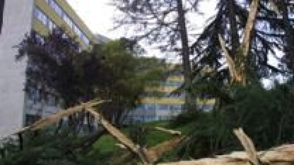 Espectacular estado en que quedó el campus de Ponferrada después de la tormenta