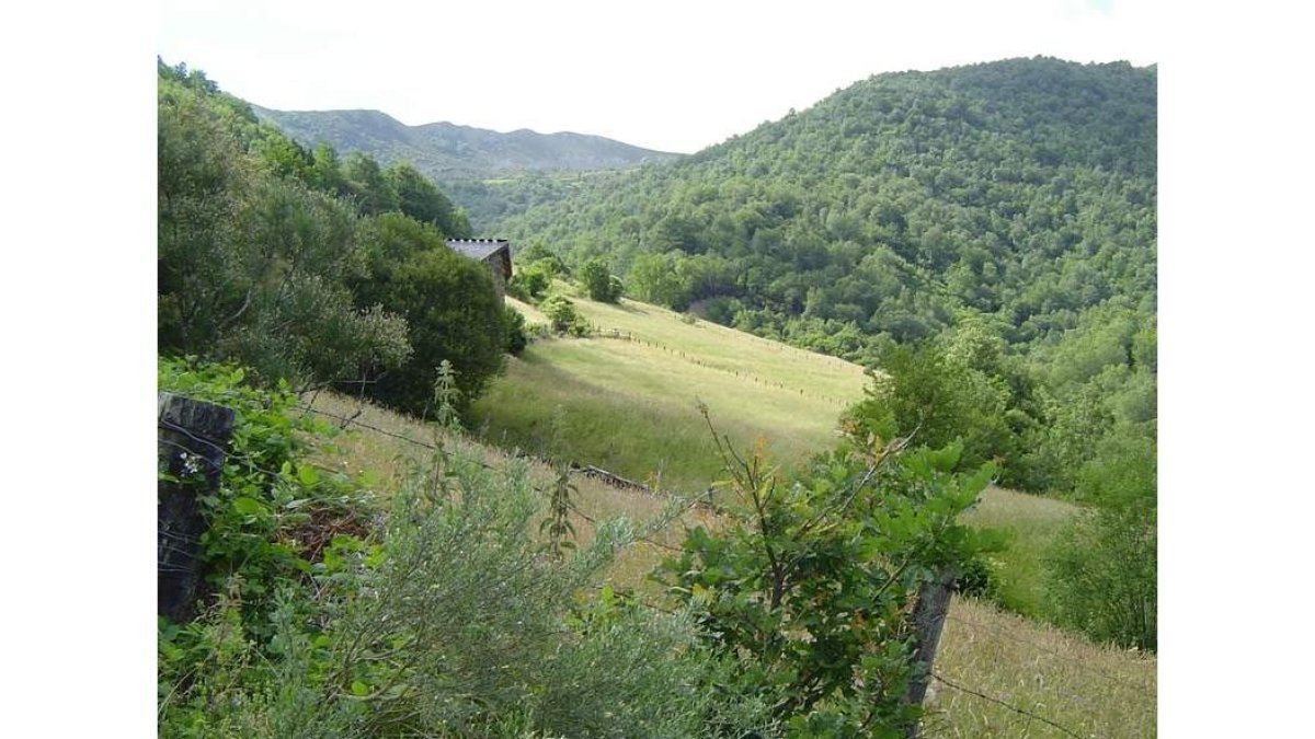 Una de las brañas de Palacios del Sil, en una imagen de archivo. DL