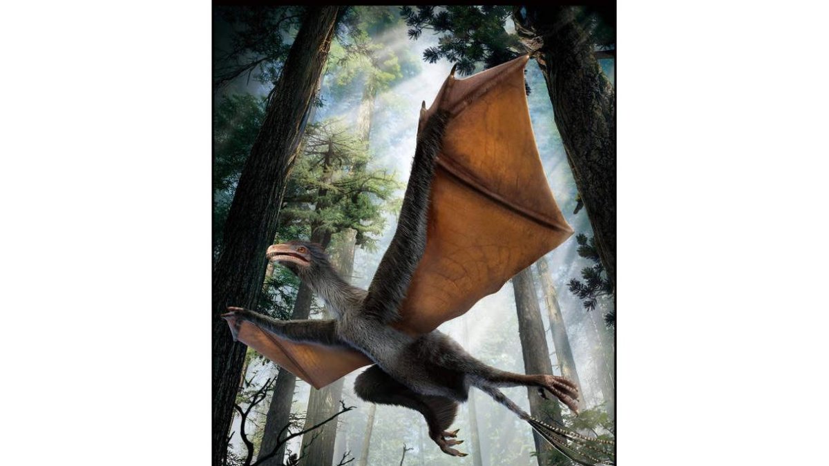 Arriba, representación del dinosaurio descubierto en China; sobre estas líneas, el ‘Chilesaurus diegosuarezi’ y a la derecha, dibujo de cómo podría haber sido este último.