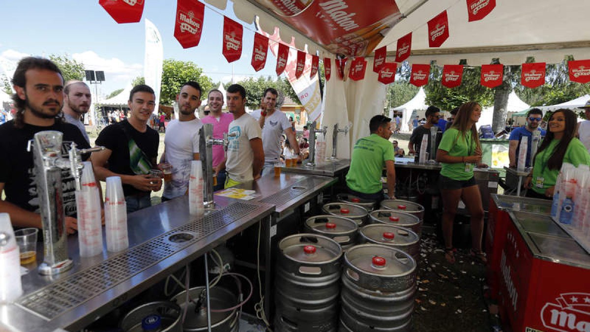 El lúpulo convierte Carrizo de la Ribera en capital cervecera. MARCIANO PÉREZ