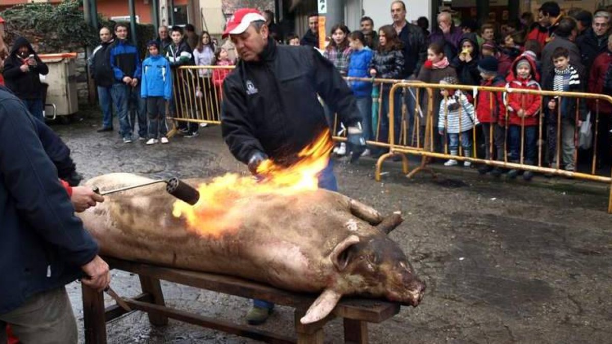 Los más pequeños observan cómo se limpia el gocho.