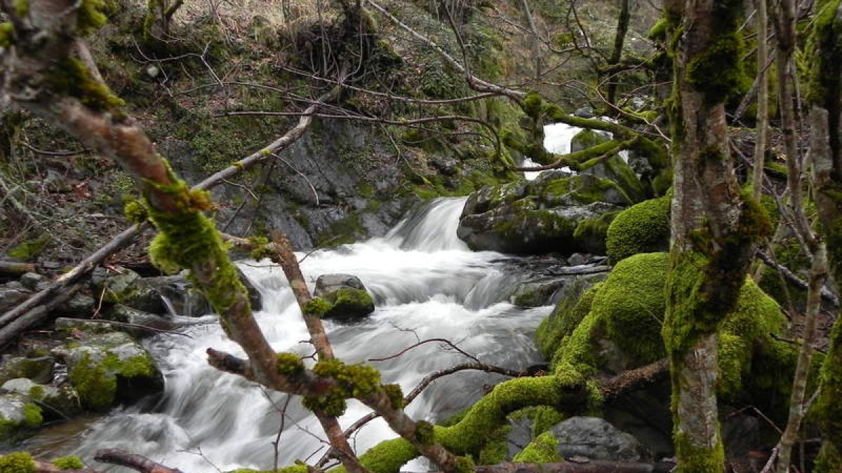 Vista del río Palacios, junto al camino que lleva a las también muy hermosas brañas de Tsourinas y de Fanales.