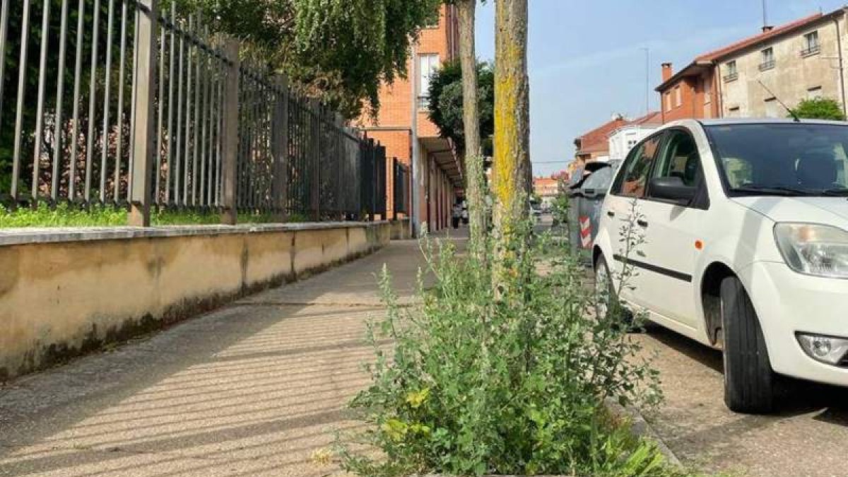 Los populares denuncia el abandono de calles y jardines. DL