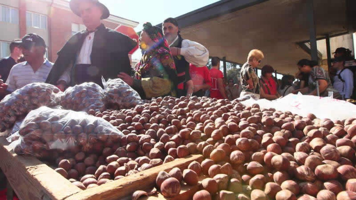 Las avellanas, producto estrella y referente de la romería de San Froilán.
