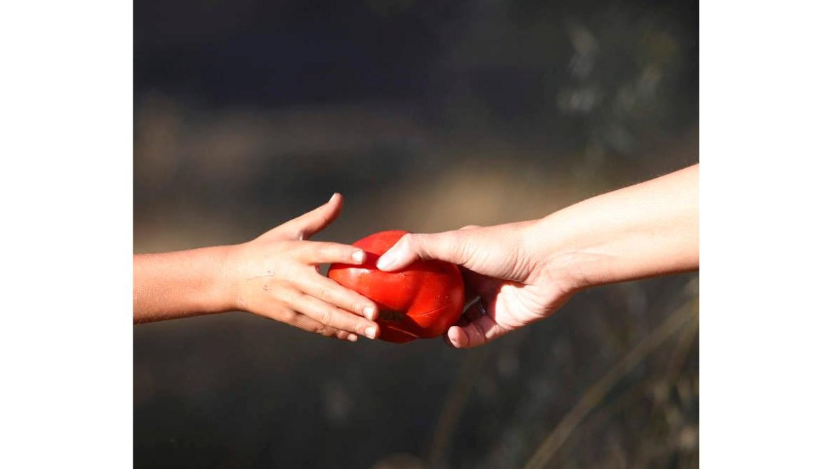 Las propiedades antioxidantes del tomate alargan la vida útil de la carne de cerdo. jesús f. salvadores
