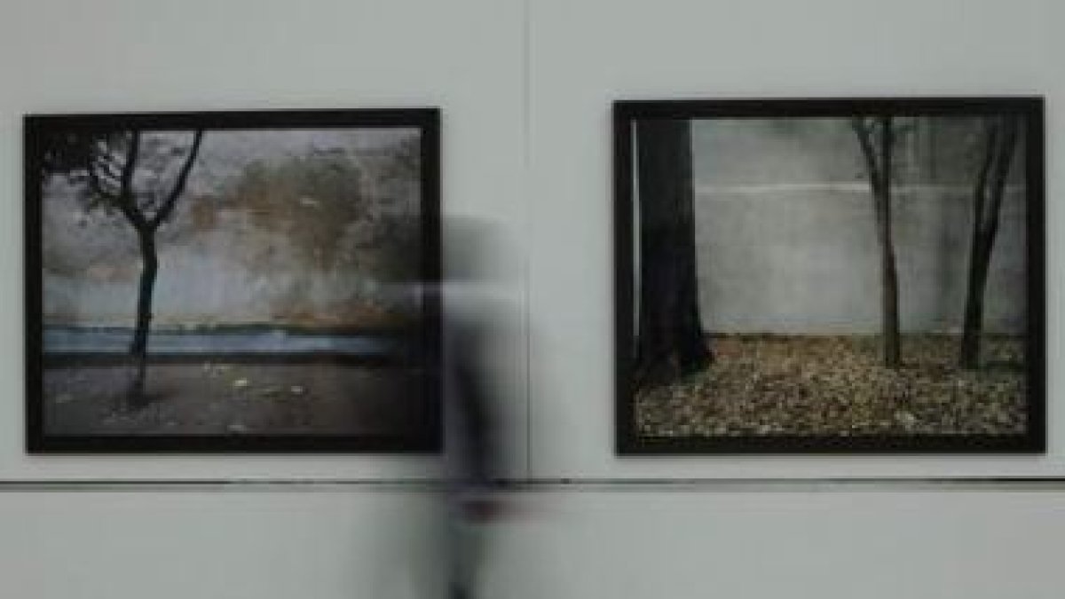 Dos de las obras de la exposición «Paisaje» en la Fundación Cerezales.