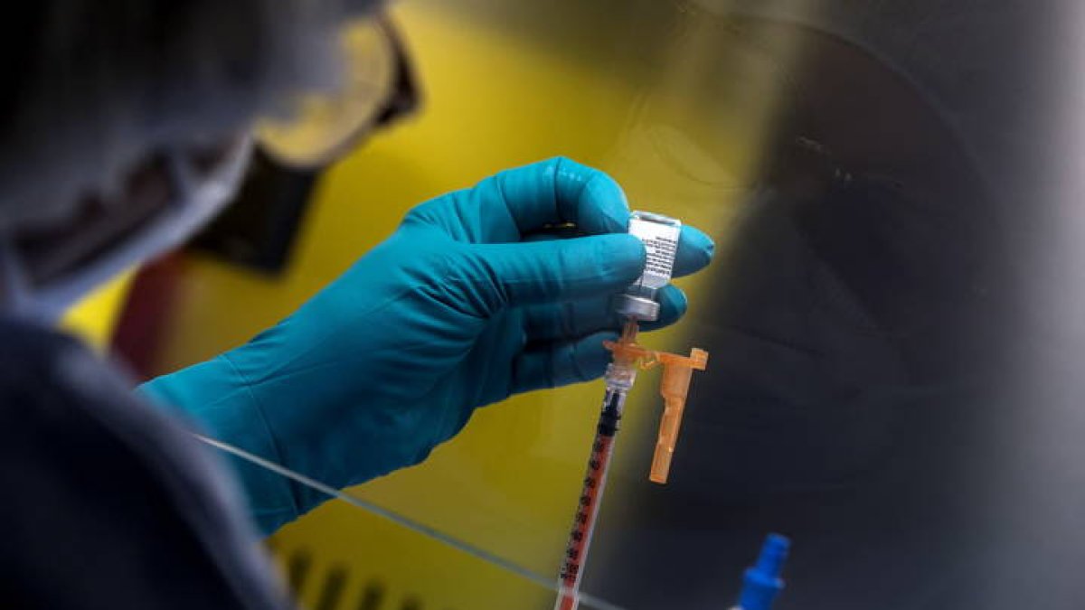 Vacuna de Pfizer. ANGELO ROMANI