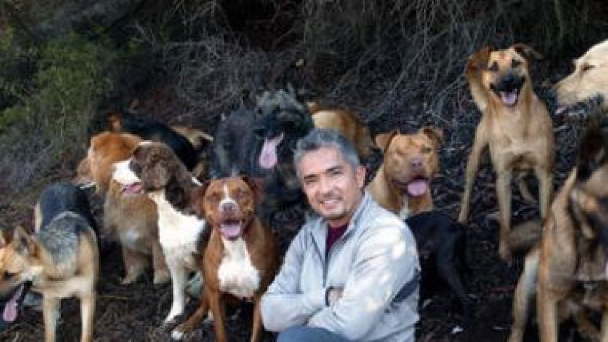 El celebre adiestrador de perros mexicano César Millán protagonizará un programa en Cuatro.