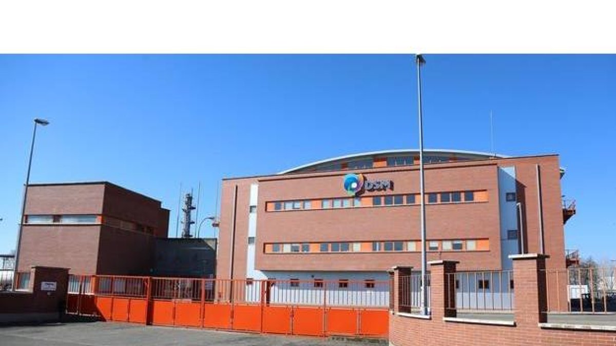 Instalaciones de DSM en León