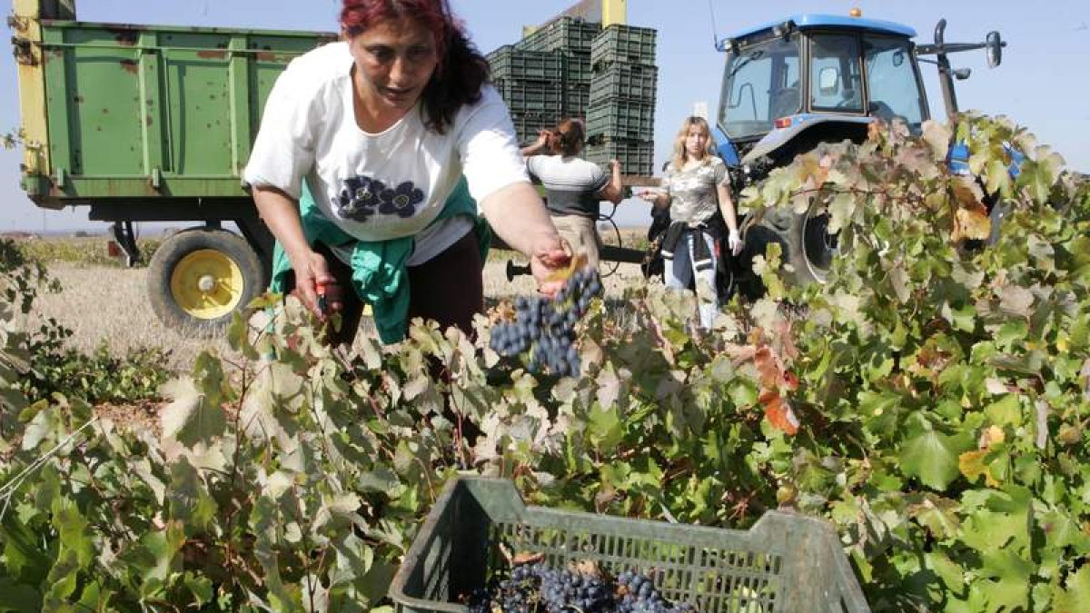 El número de trabajadores extranjeros sigue incrementándose en la provincia. NORBERTO