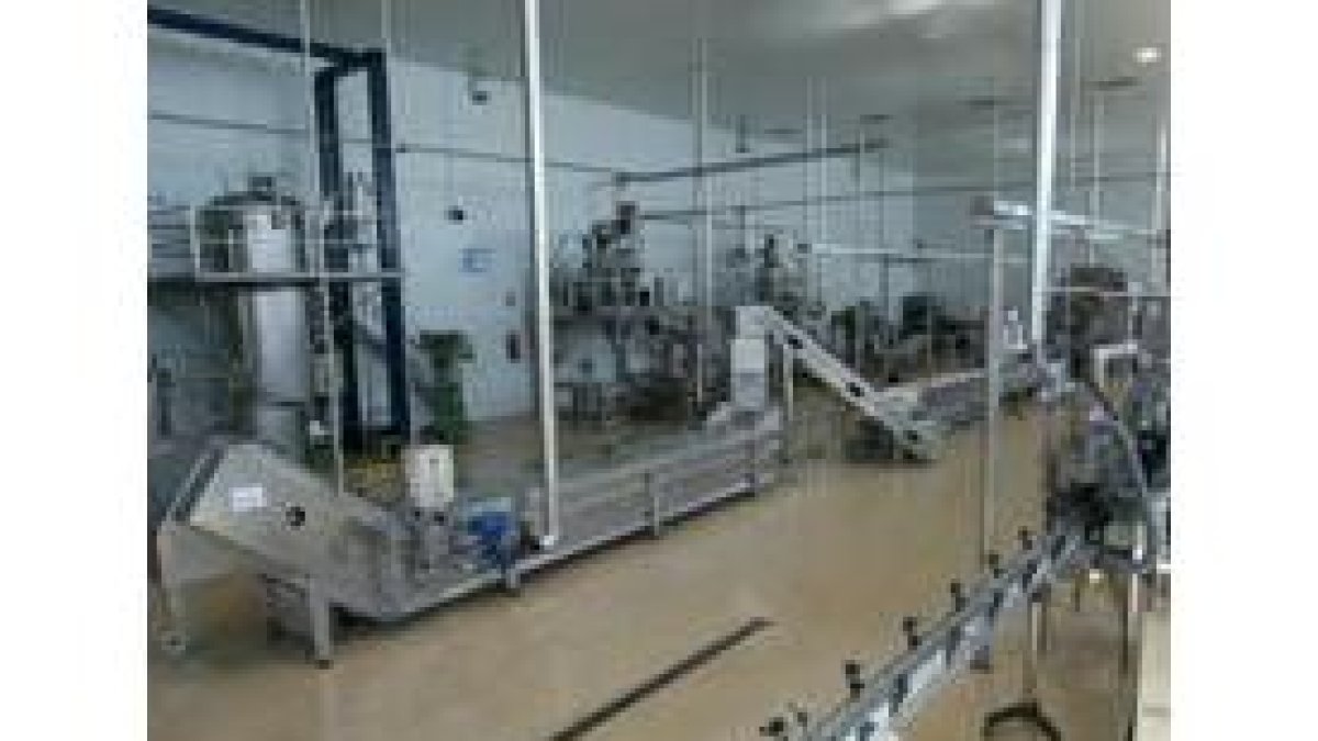 Las líneas de envasado de la planta de productos agroalimentarios presentan un aspecto radiante