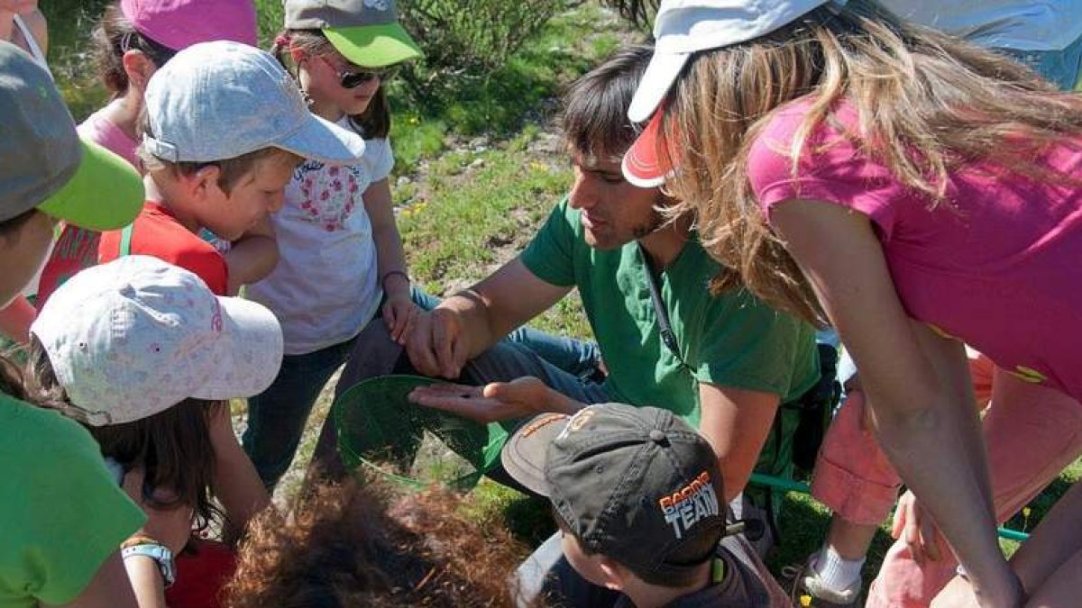 ‘Más que pájaros’ organiza rutas y excursiones en zonas como los Picos de Europa.