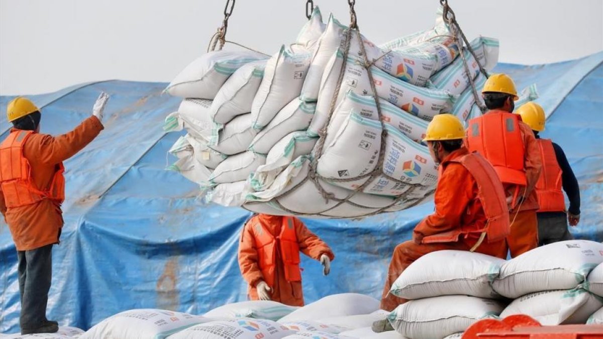Unos operarios descargan sacos de soja en el puerto de chino de Nantong.