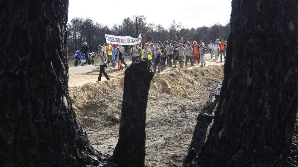 La marcha discurrió por las carreteras que cruzan los bosques quemados.