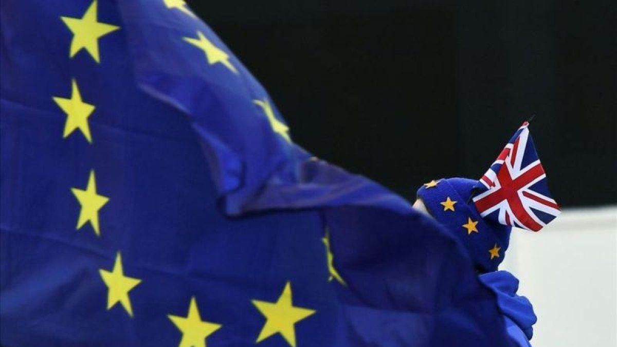 Un manifestante contrario al brexit protesta ante la sede del Parlamento británico, en Londres.