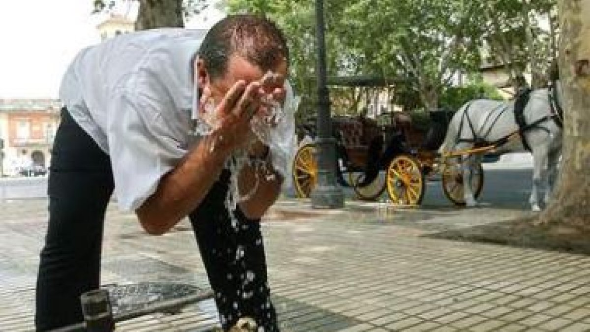 El conductor de un coche de caballos se refresca en una plaza de Sevilla.