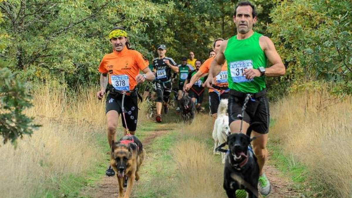 Juan Carlos Llamazares es el cuarto clasificado en la Copa Nacional de Canicross.