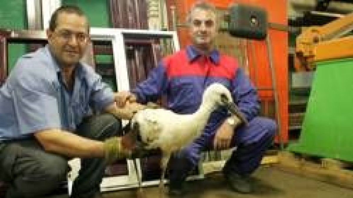 Los rescatadores posan con la cigüeña herida