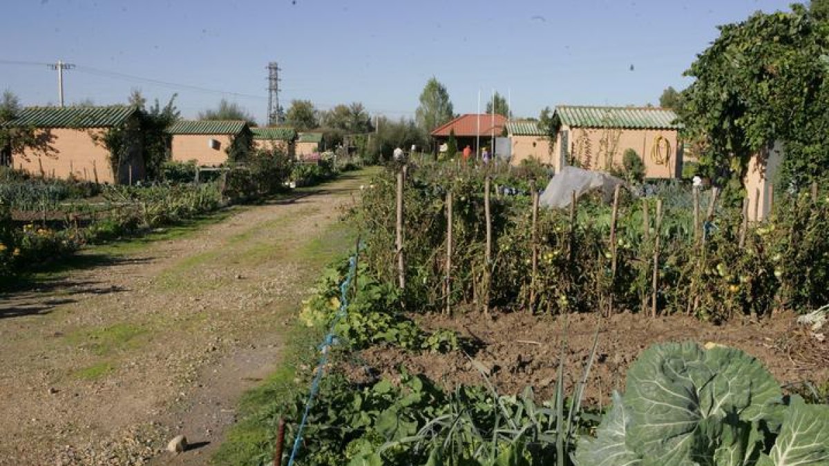 Los huertos de La Candamia