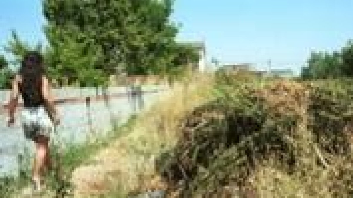 En Villaverde, en la foto, se localizó la mayor plantación de marihuana