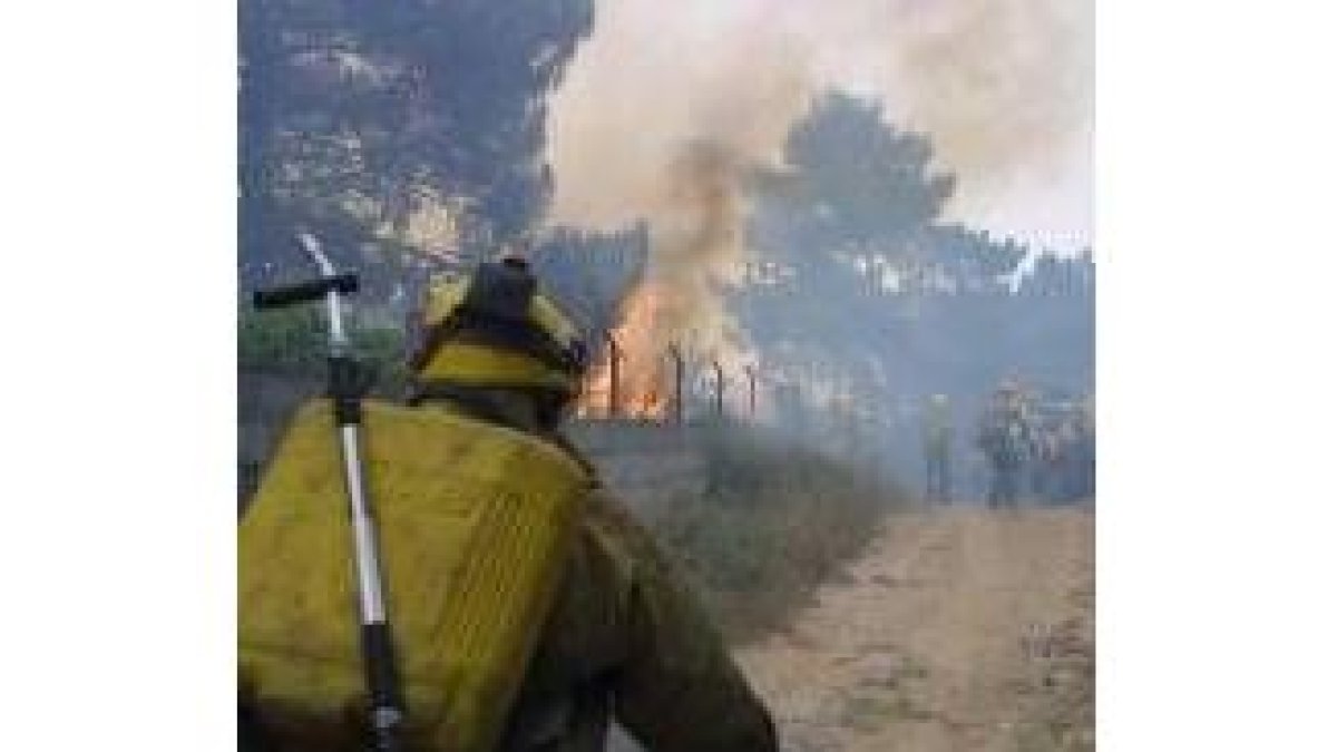 El Bierzo es una zona muy castigada por los incendios forestales