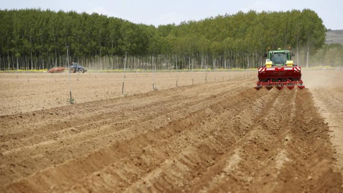 Imagen de un tractor en Payuelos