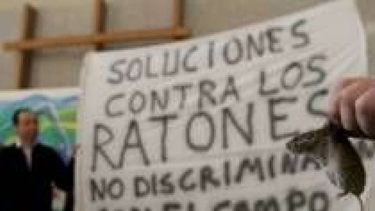 La presencia de ratones ya movilizó al campo en invierno