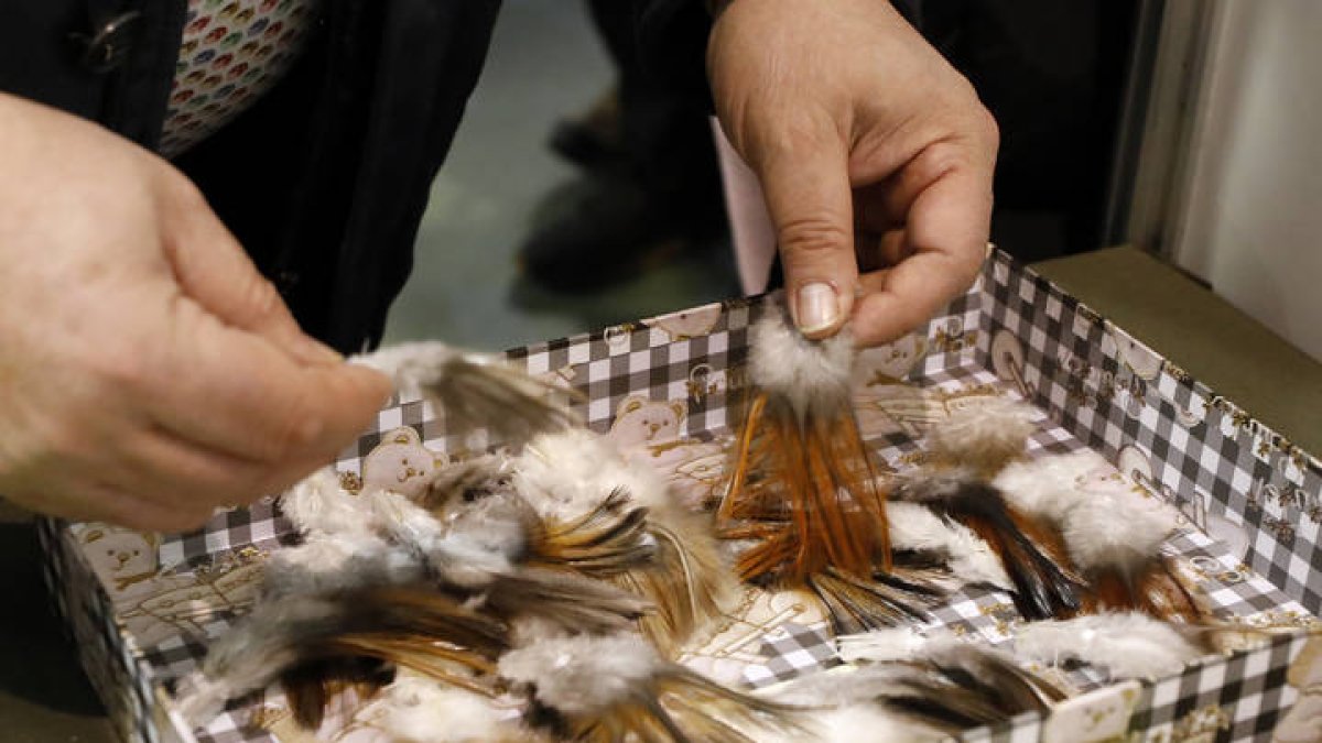 Algunas de las plumas de la Feria. MARCIANO PÉREZ