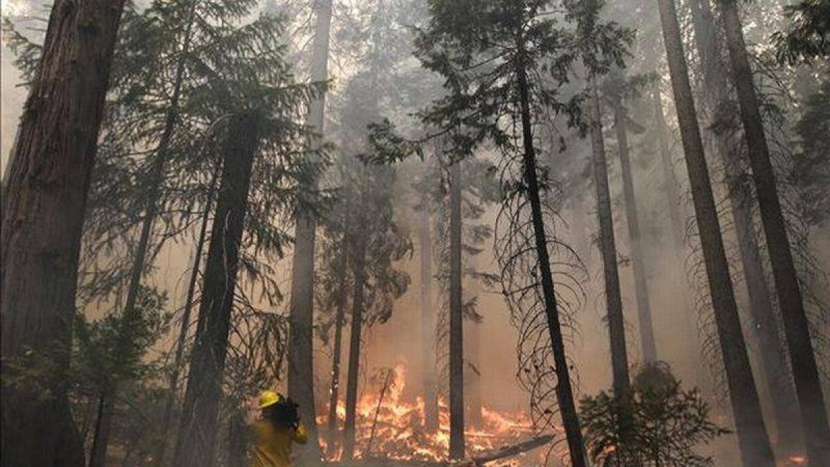 Un cámara graba en una zona de incendio en Yosemite.