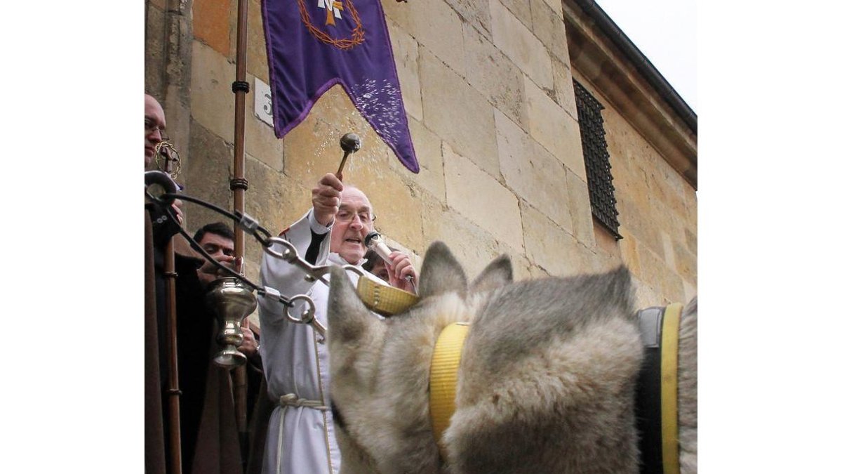 Benidición de un perro en León