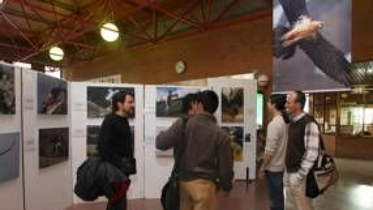Un momento de las actividades de la Fundación Quebrantahuesos