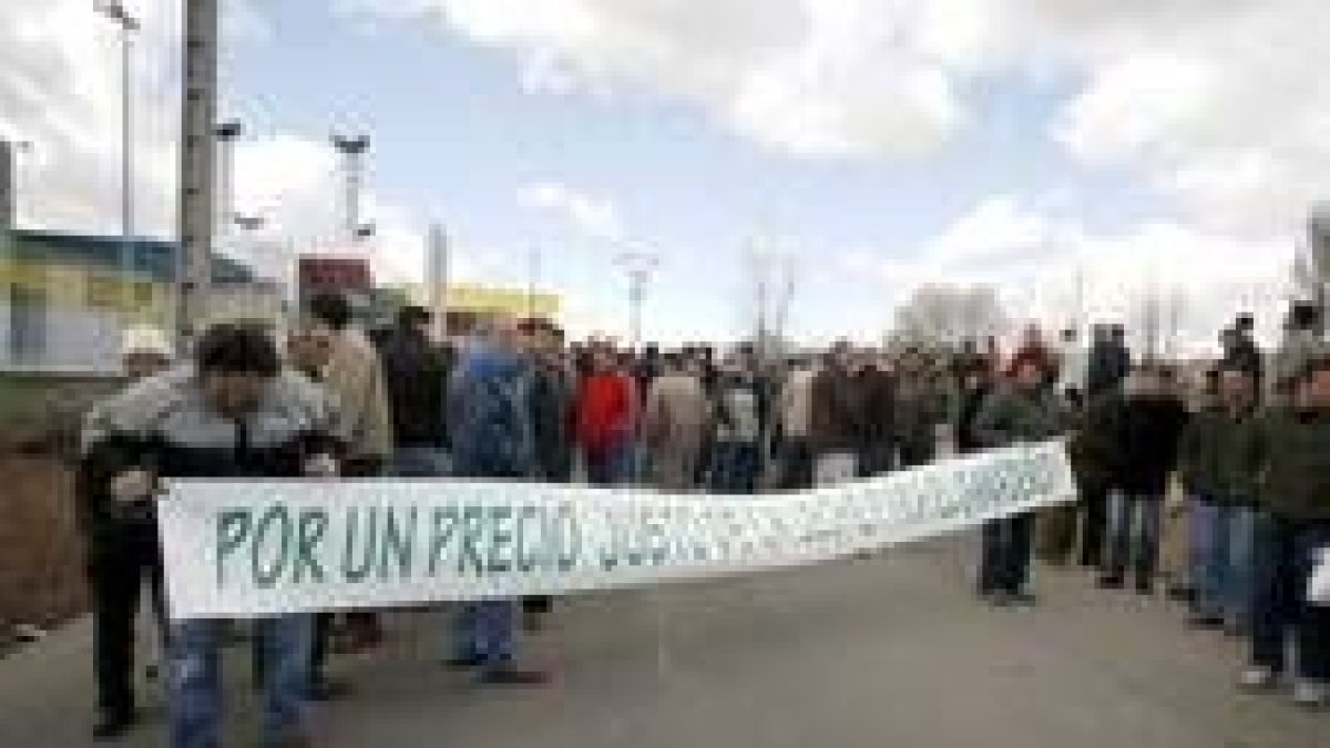 La concentración de ganaderos ante Pascual, en Burgos, tuvo eco en el sector lácteo leonés